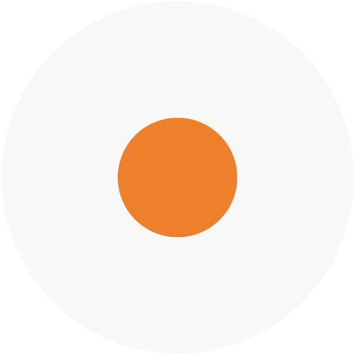PRO . chèque service